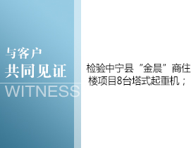 中宁县“金晨”商住楼
